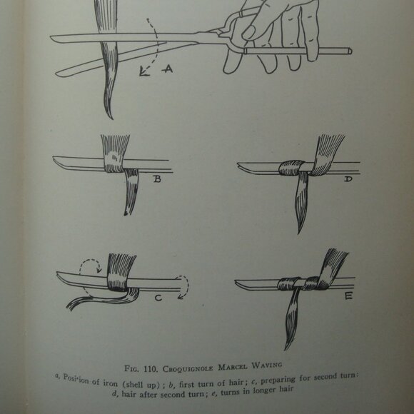 The Principles and Practices of Beauty Culture Official Textbook Wilfred Academy - Picture 8 of 16